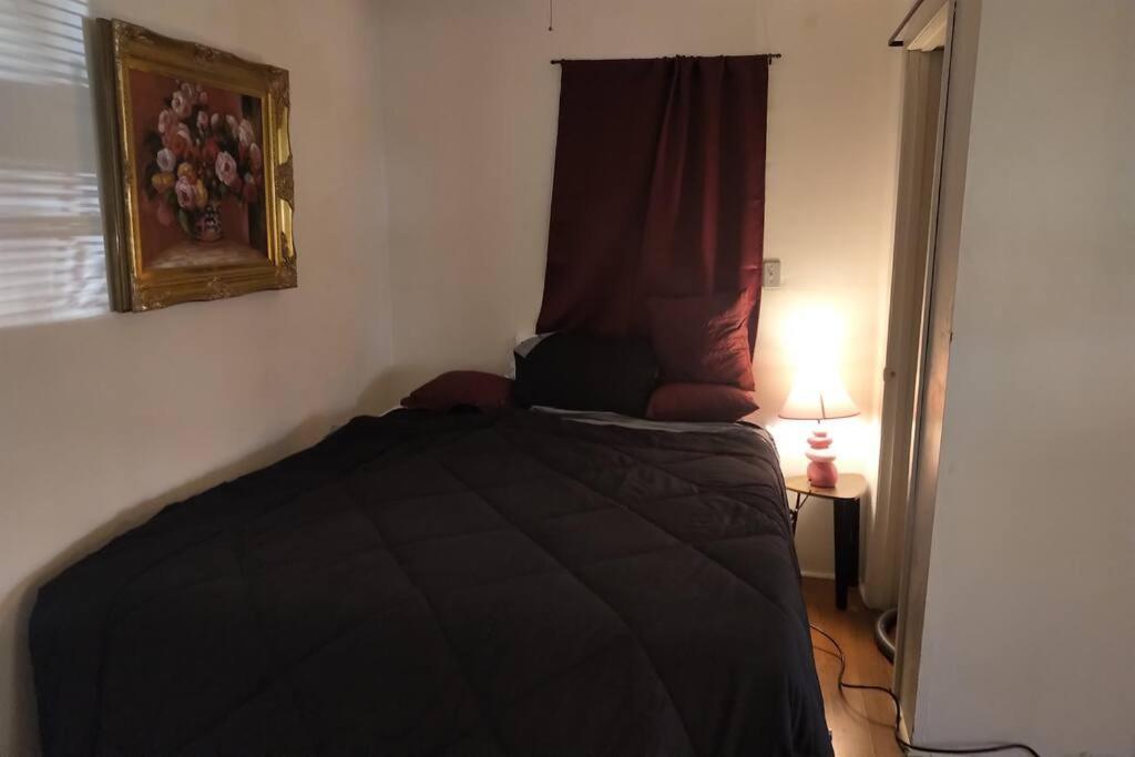 Awesome Cozy 1 Bedroom Coachhouse Toronto Zewnętrze zdjęcie